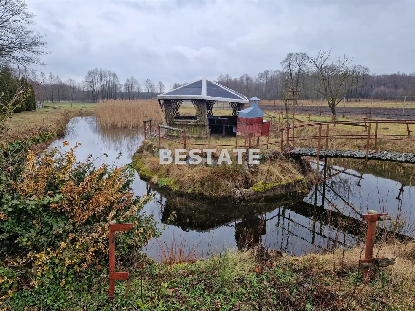 Dom do wprowazenia w pięknej okolicy, staw,Zabłoty