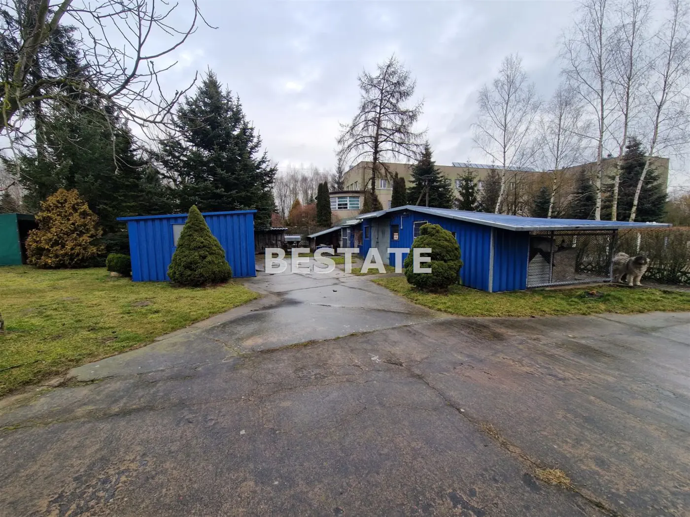 Dom do wprowazenia w pięknej okolicy, staw,Zabłoty