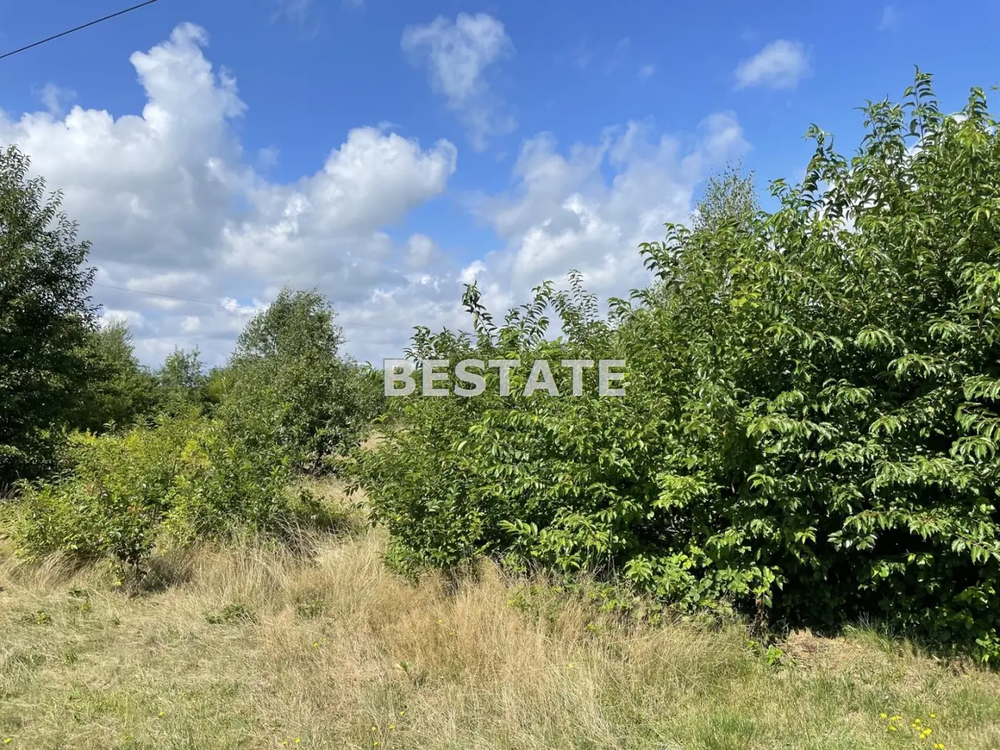 Działka pod duży dom w otoczeniu zieleni