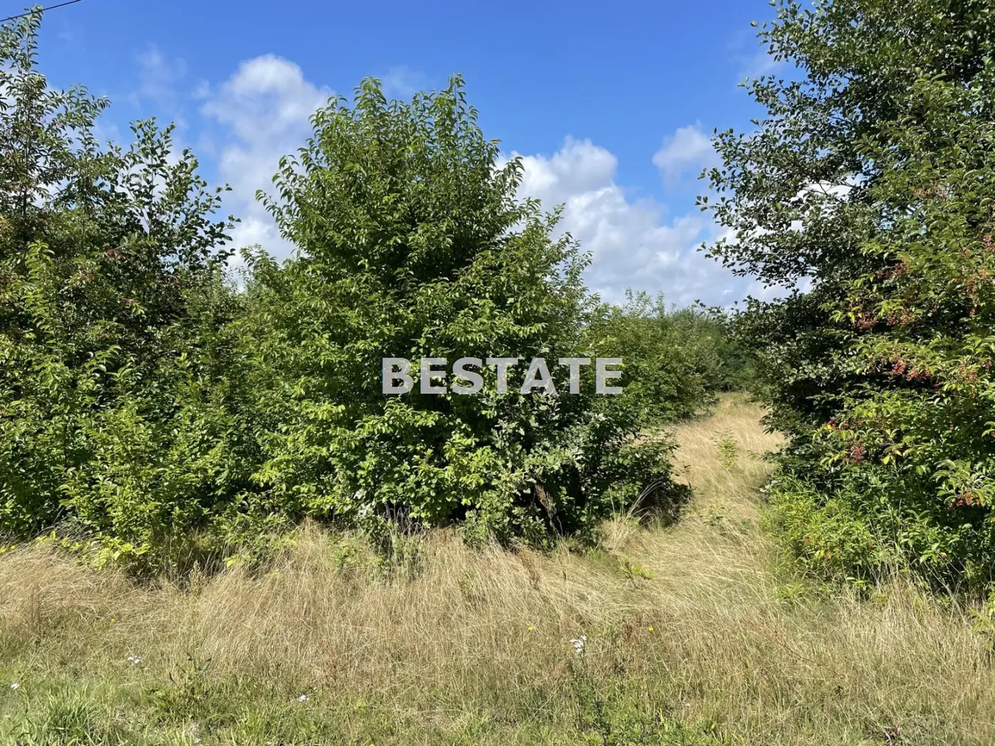 Działka pod duży dom w otoczeniu zieleni