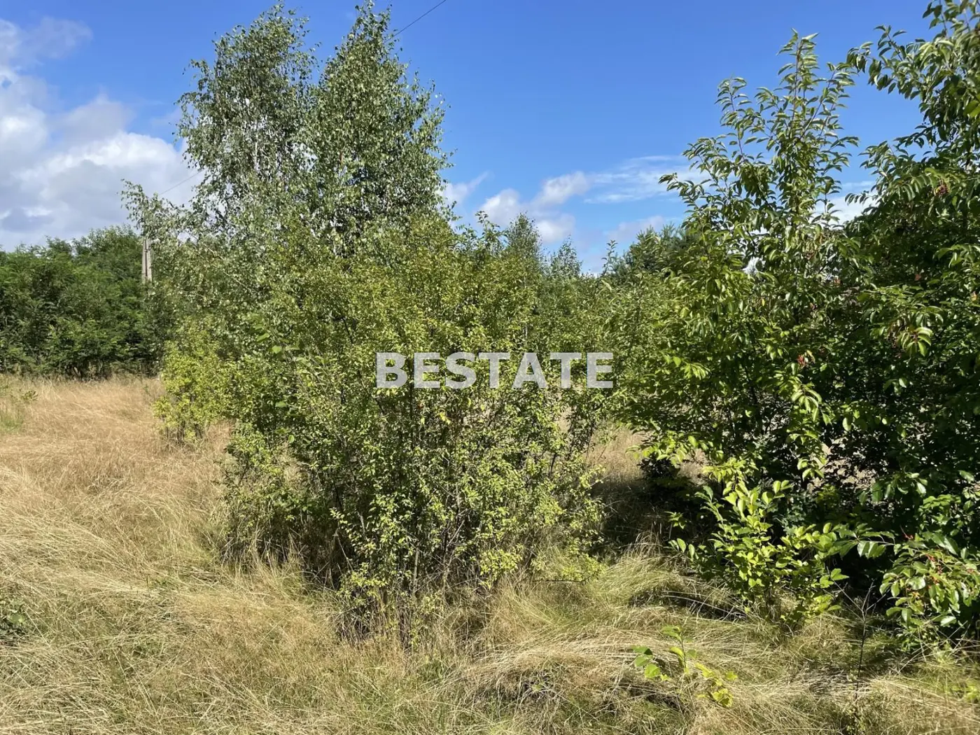 Działka pod duży dom w otoczeniu zieleni