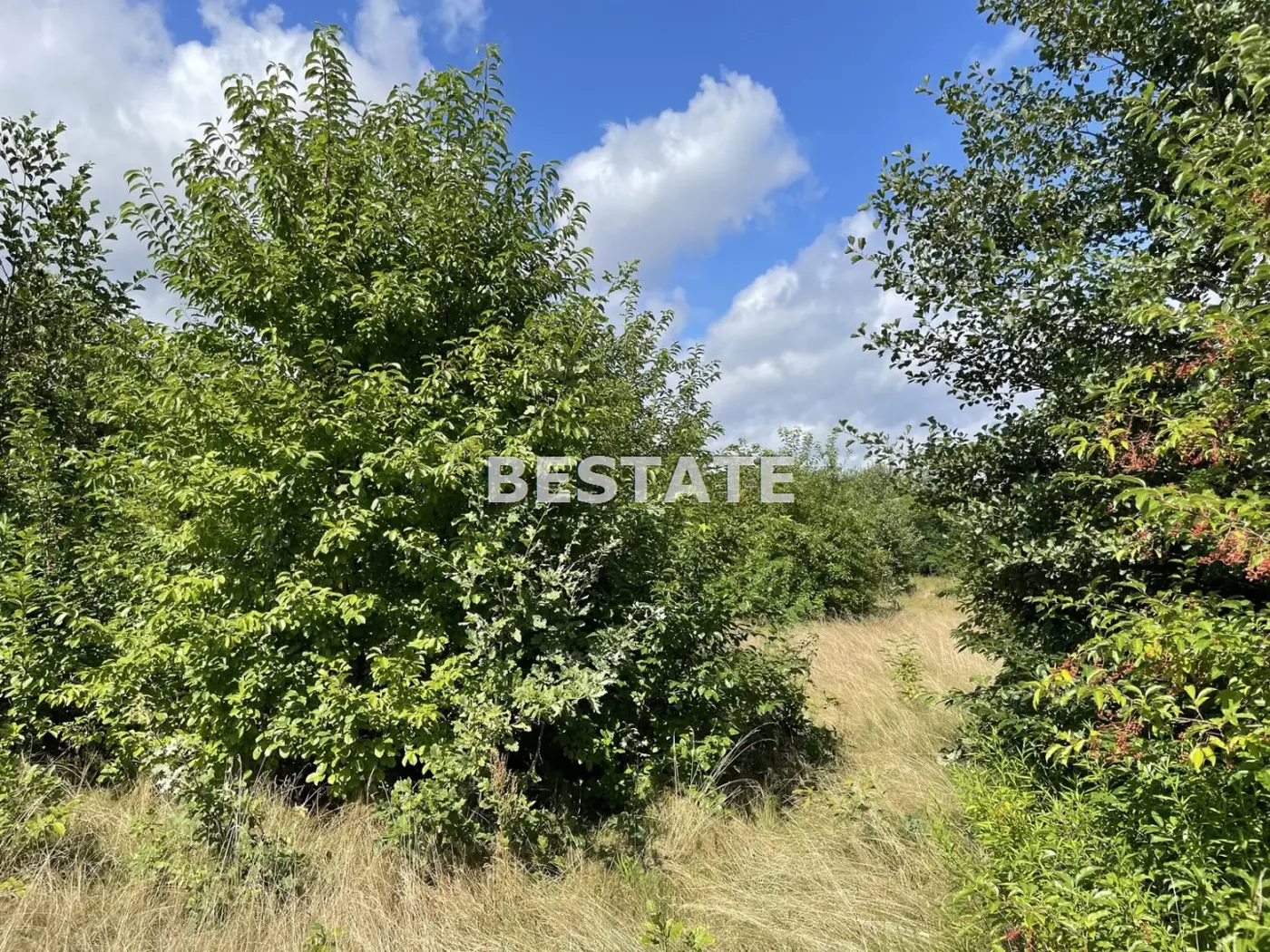 Działka pod duży dom w otoczeniu zieleni
