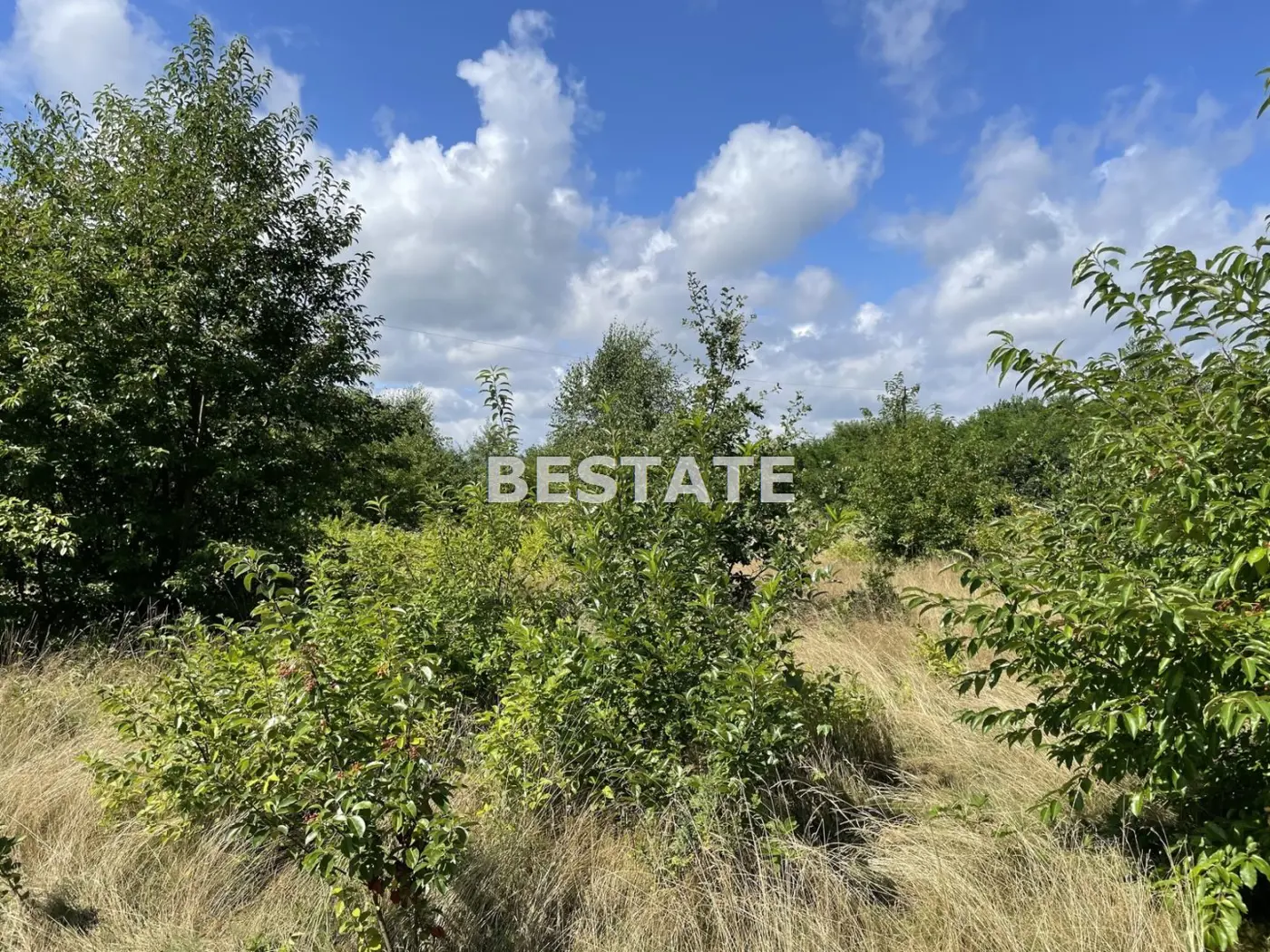 Działka pod duży dom w otoczeniu zieleni