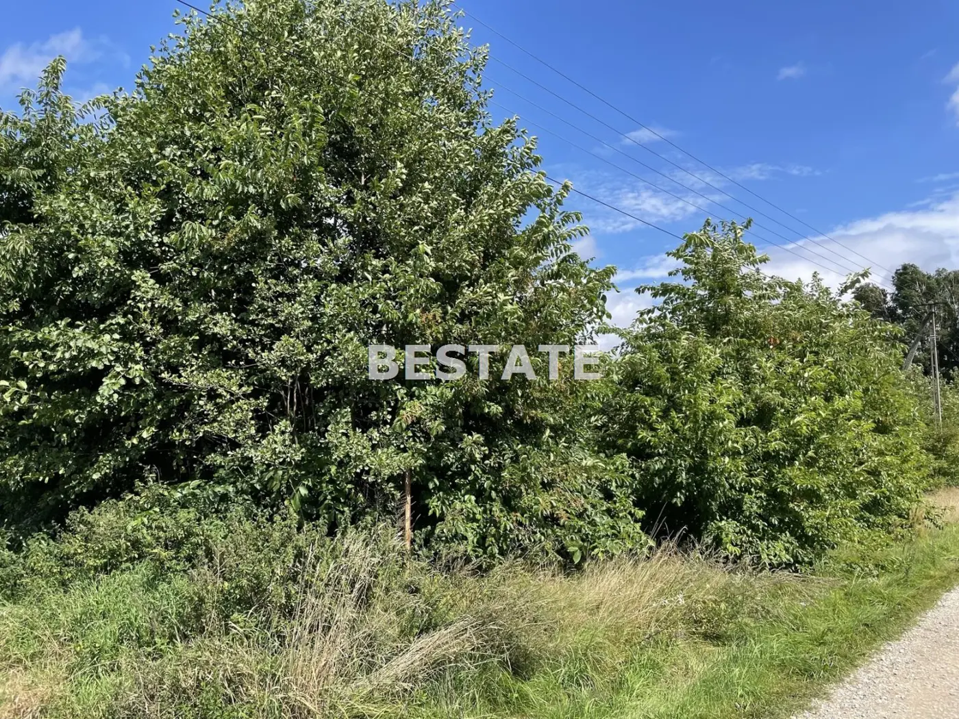 Działka pod duży dom w otoczeniu zieleni