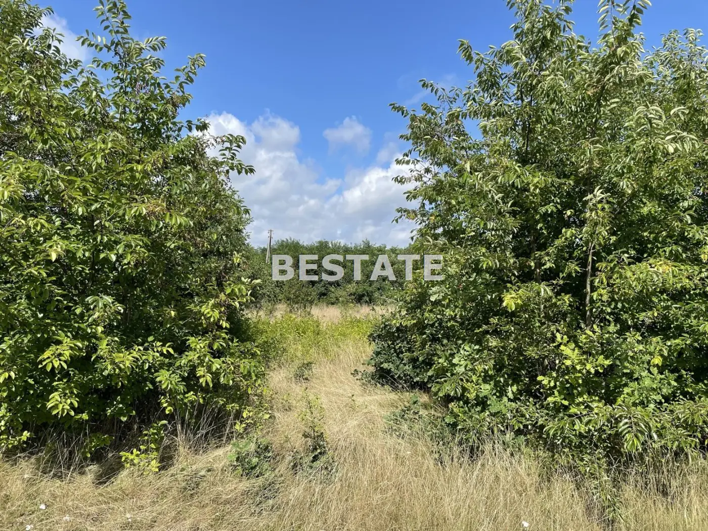 Działka pod duży dom w otoczeniu zieleni