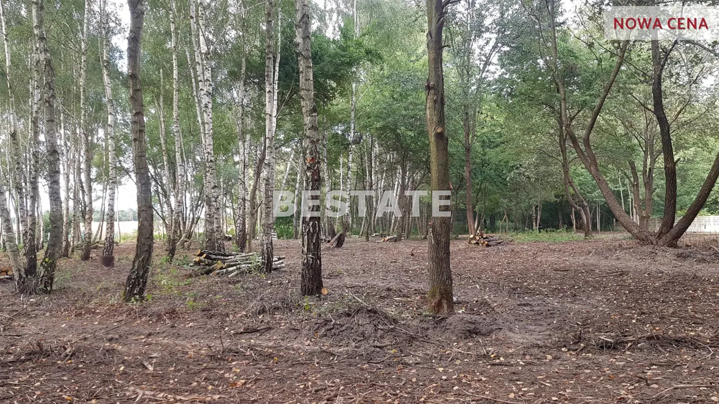 działka pod zabudowę jednorodzinną wśród lasów