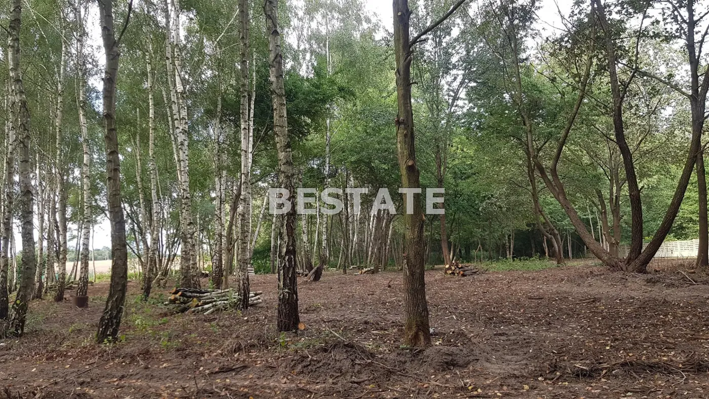 działka pod zabudowę jednorodzinną wśród lasów