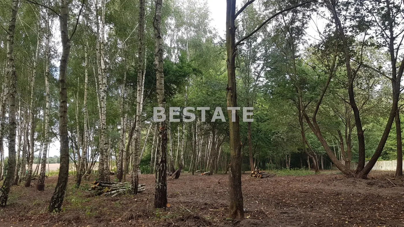 działka pod zabudowę jednorodzinną wśród lasów