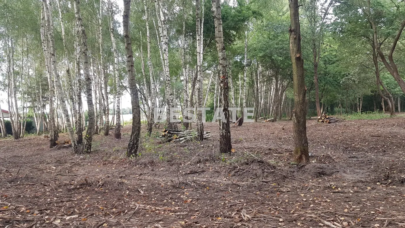 działka pod zabudowę jednorodzinną wśród lasów