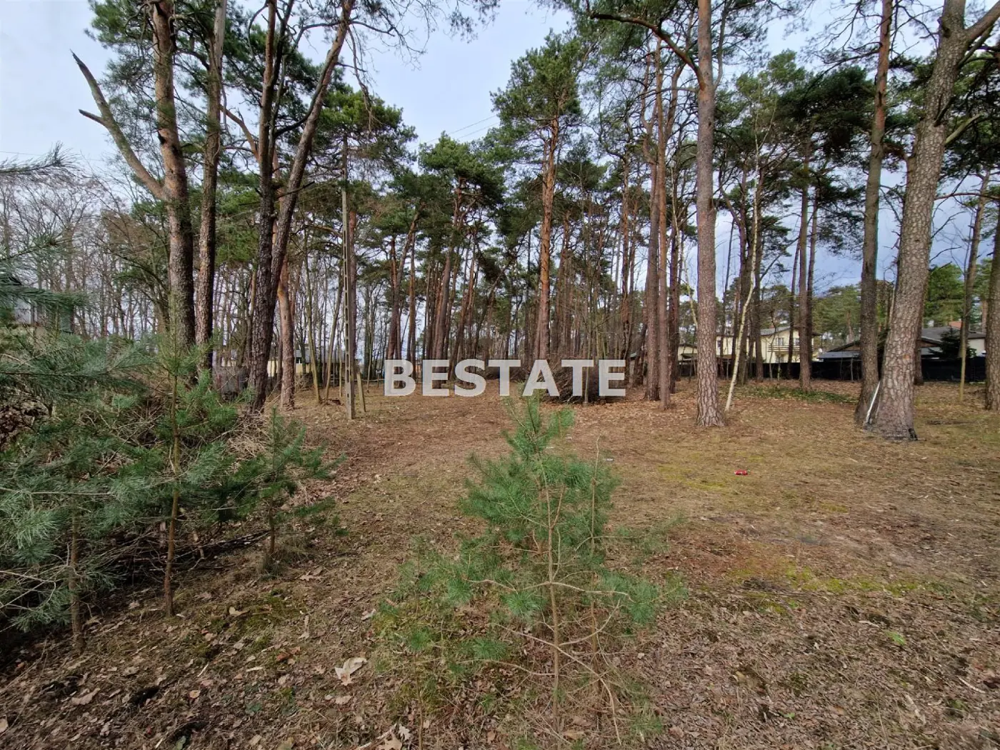 Budowlana 1280 m.kw, TOP lokalizacja, Kolumna