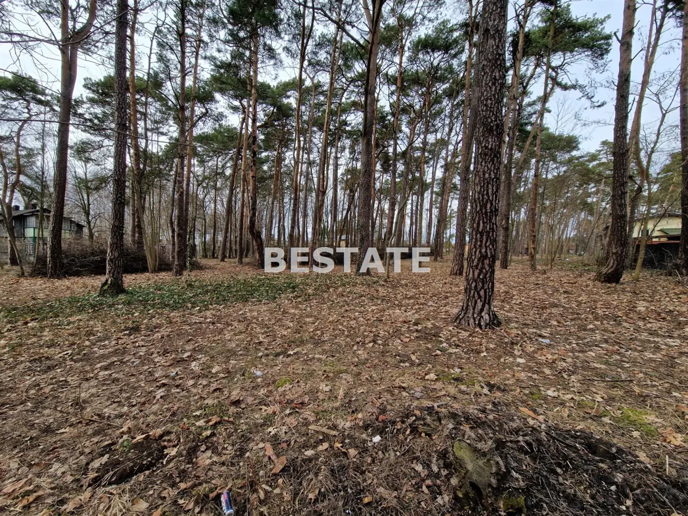 Budowlana 1280 m.kw, TOP lokalizacja, Kolumna