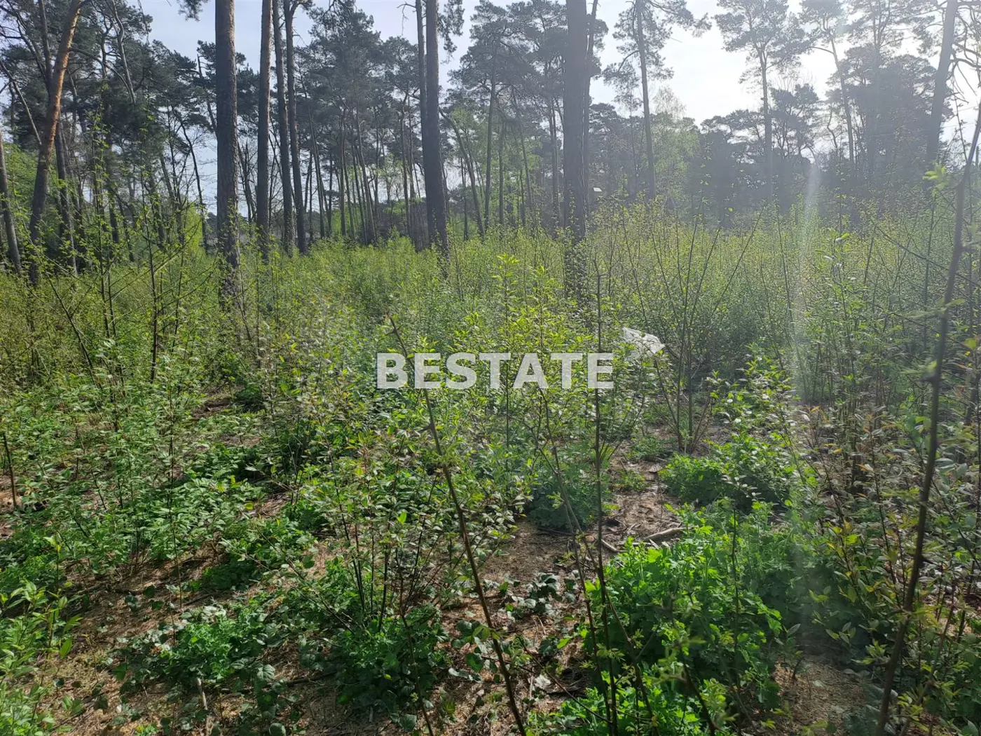 Atrakcyjna działka w centrum Kolumny, Świerkowa