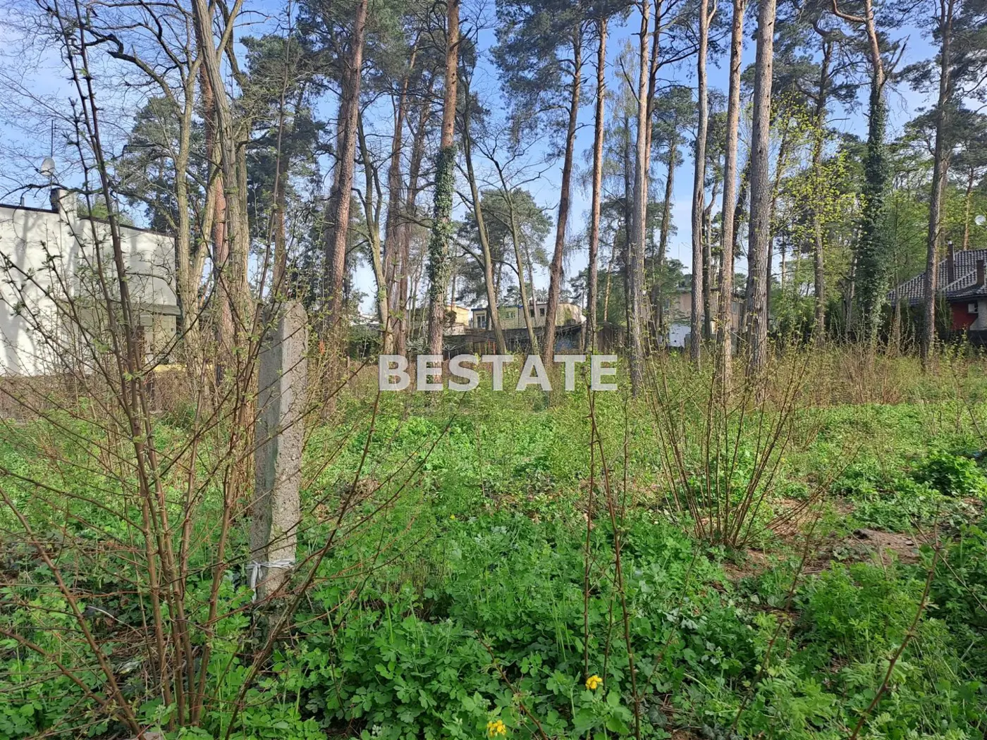 Atrakcyjna działka w centrum Kolumny, Świerkowa