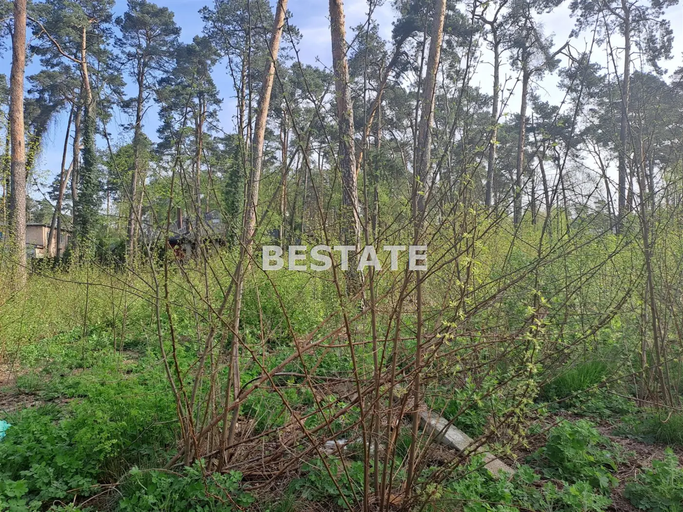 Atrakcyjna działka w centrum Kolumny, Świerkowa