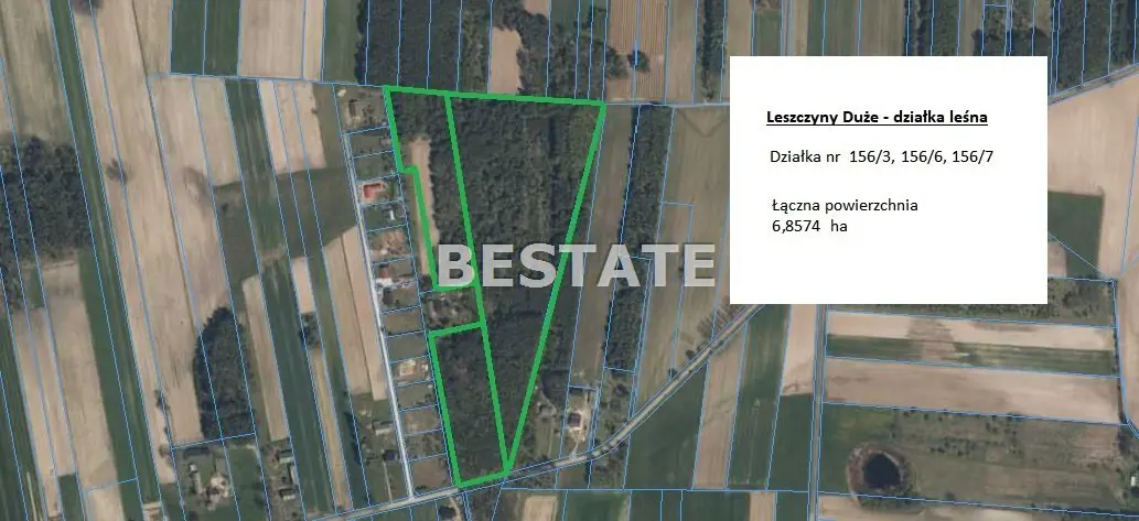 6,8 ha lasu, okolice Dłutowa