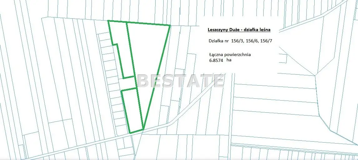 6,8 ha lasu, okolice Dłutowa
