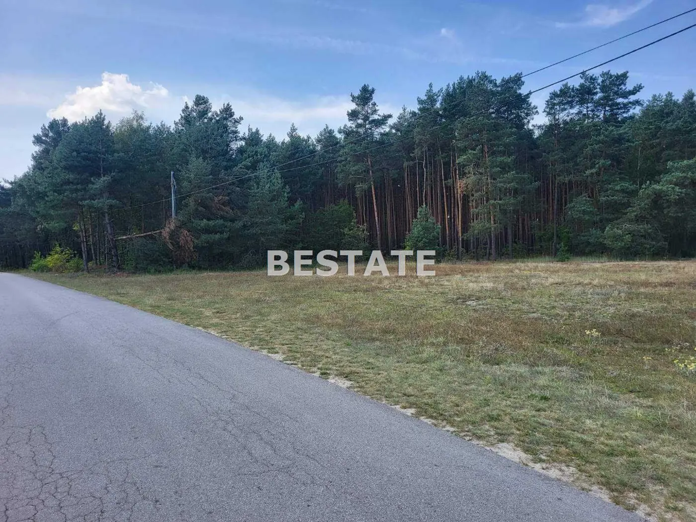 Duża działka wraz z lasem, miejsce na Twój dom
