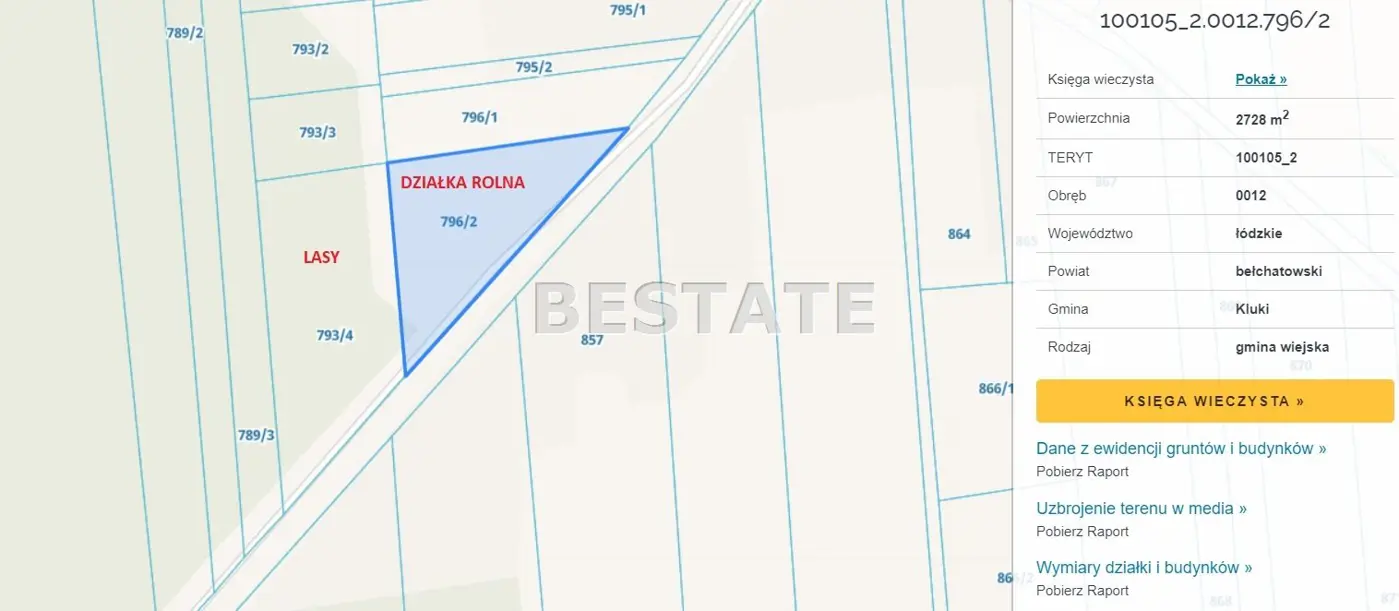 Duża działka wraz z lasem, miejsce na Twój dom