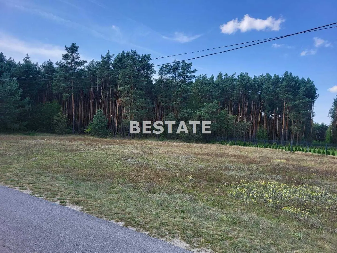 Duża działka wraz z lasem, miejsce na Twój dom