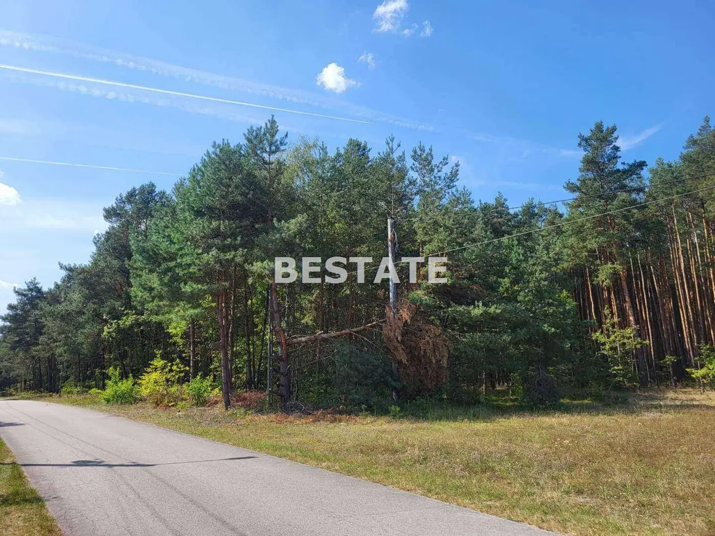 Duża działka wraz z lasem, miejsce na Twój dom