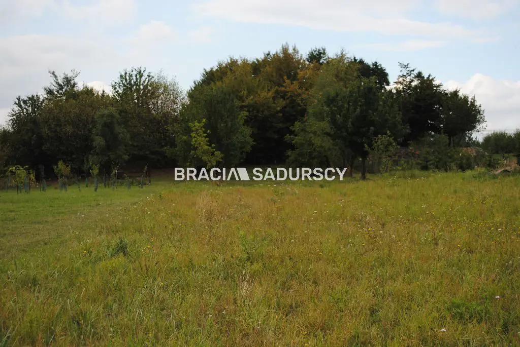 Działka w miejscowości Łazy