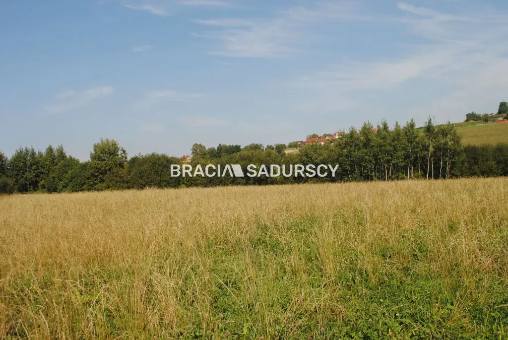 OkazjaDo sprzedania duża nieruchomość .