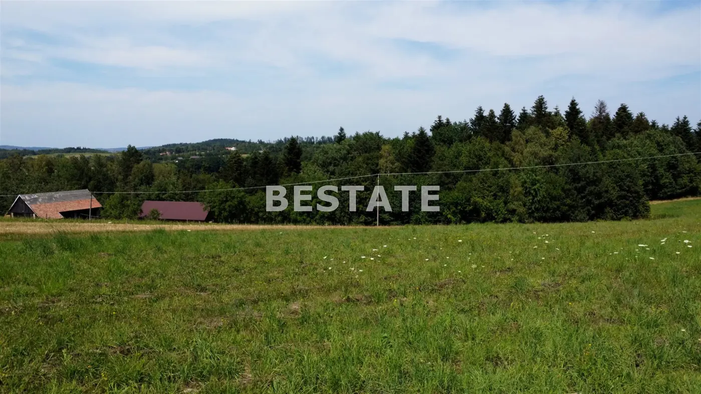 Działka w sąsiedztwie lasu w pięknej okolicy.