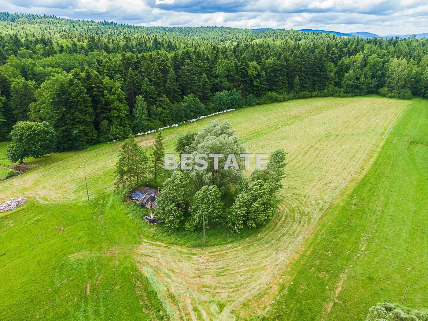 1,53 ha - Staszkówka