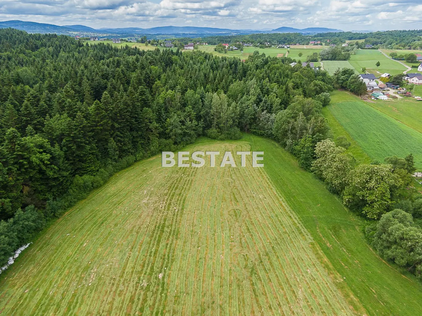 1,53 ha - Staszkówka