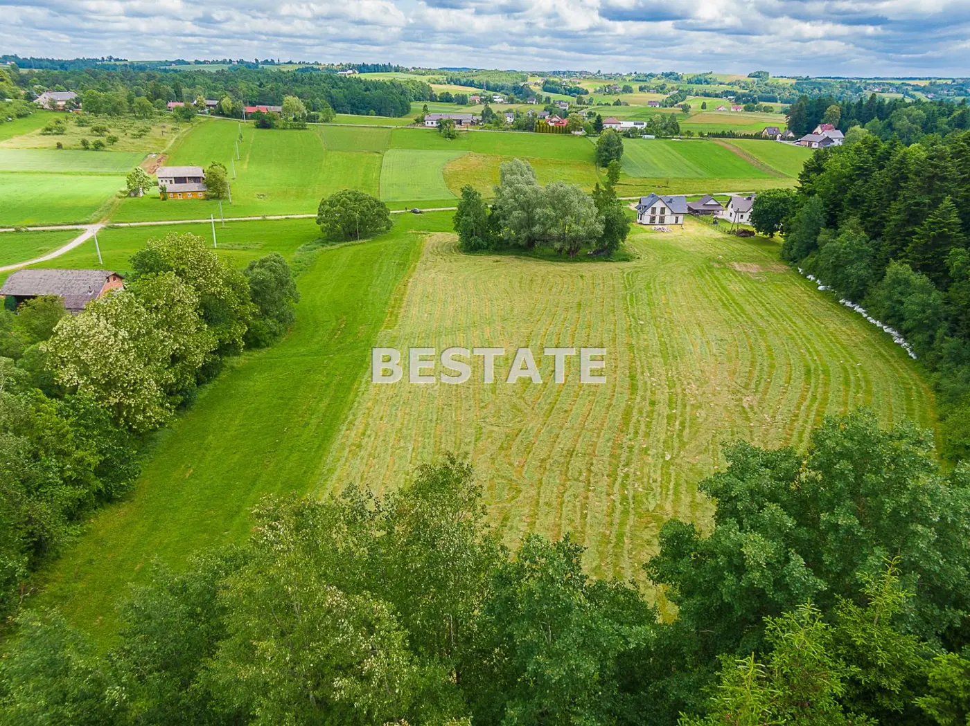 1,53 ha - Staszkówka