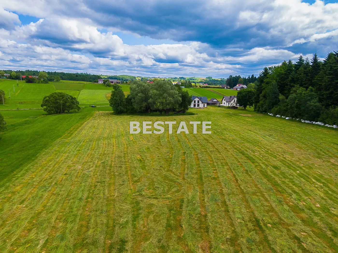 1,53 ha - Staszkówka