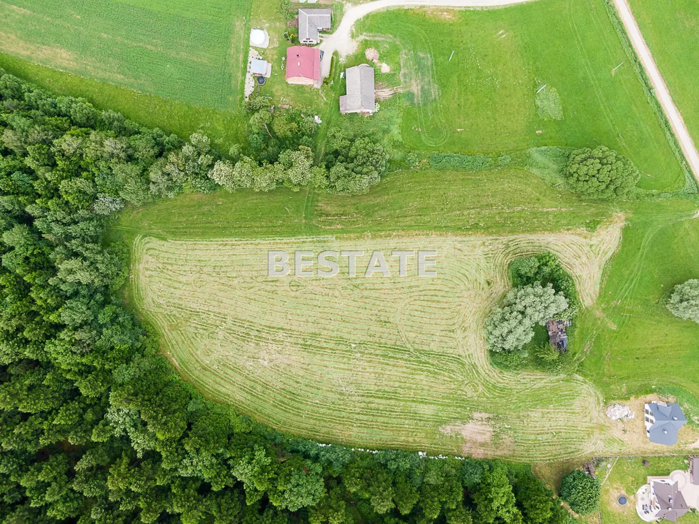 1,53 ha - Staszkówka