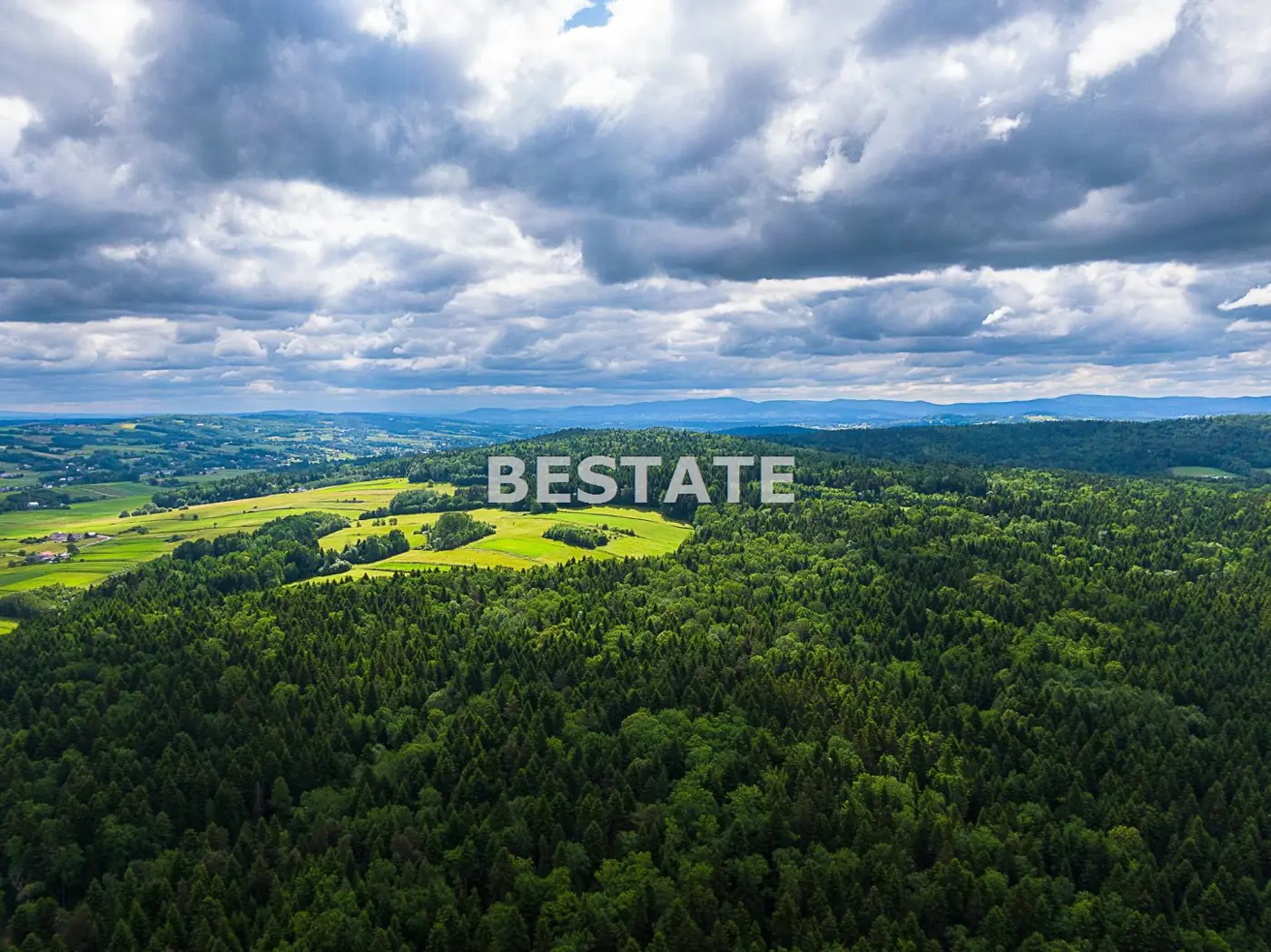1,53 ha - Staszkówka
