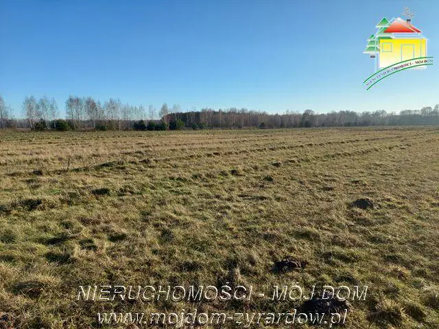 Trzy działki budowlane w Aleksandrii