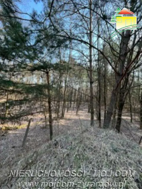 Dla osób ceniących prywatność, spokój i ciszę :)