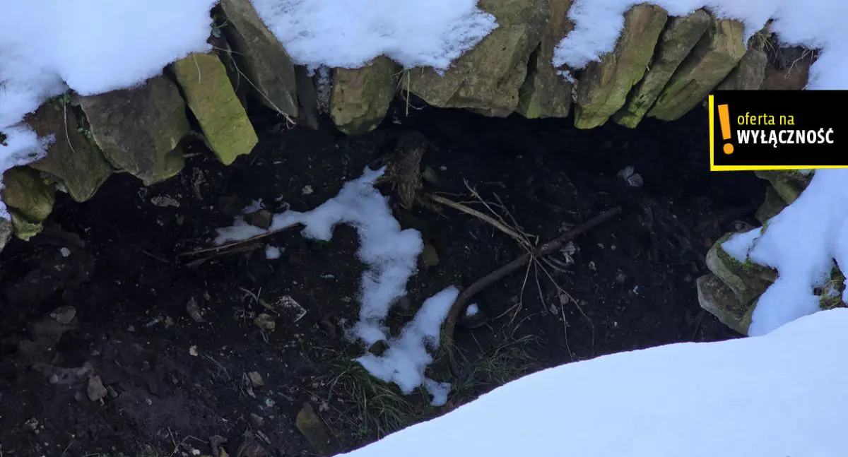 Domek w Drugni z działką 26 arów