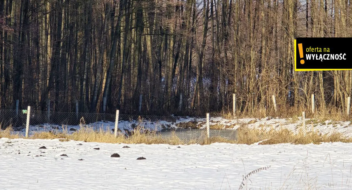 Domek w Drugni z działką 26 arów