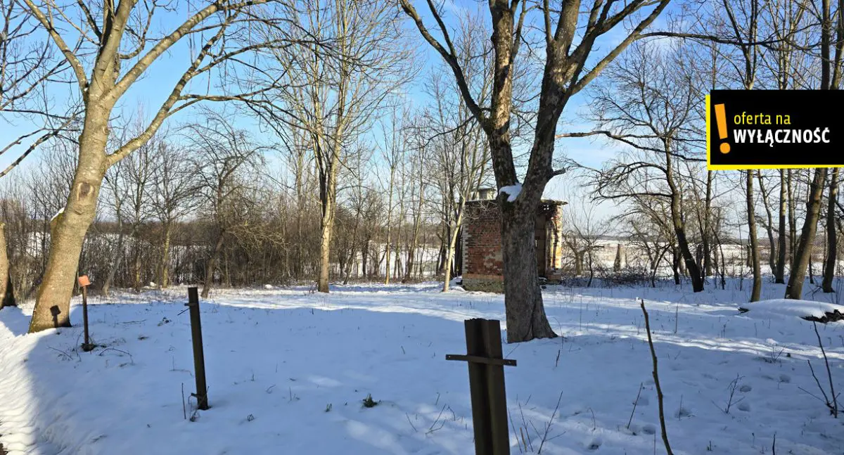 Domek w Drugni z działką 26 arów