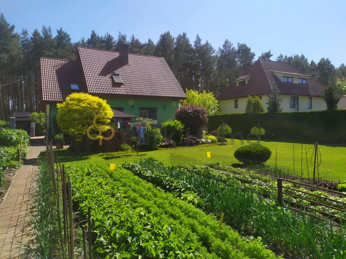 Dom wolnostojący z pięknym ogrodem, Wilków