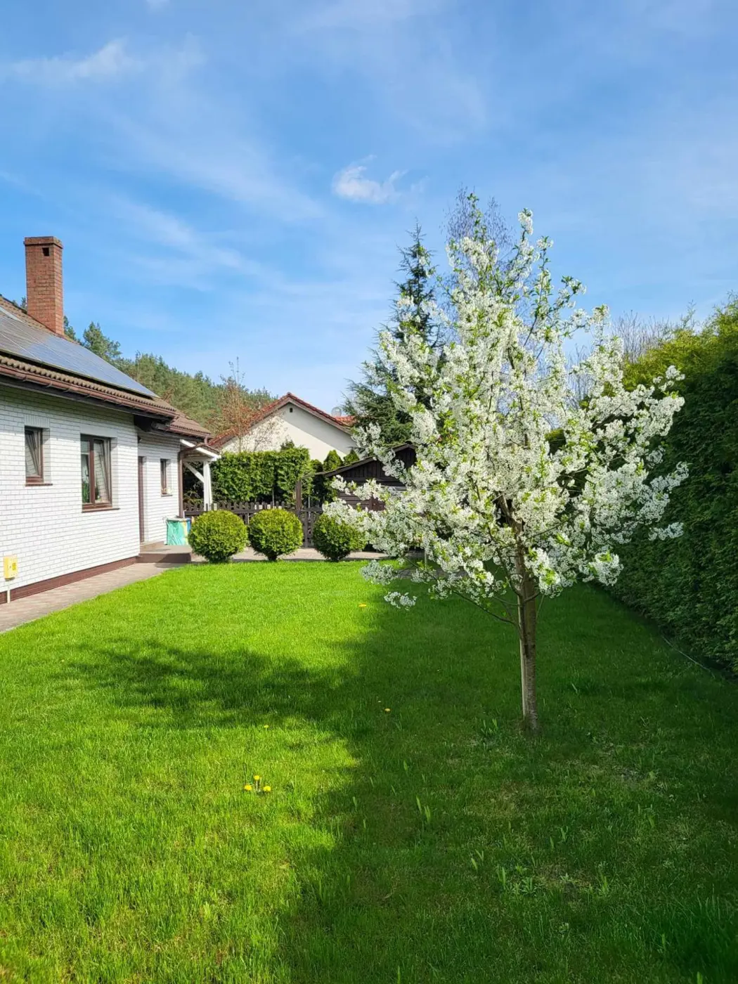 Nowoczesny dom przy lesie i Jeziorze Miedwie