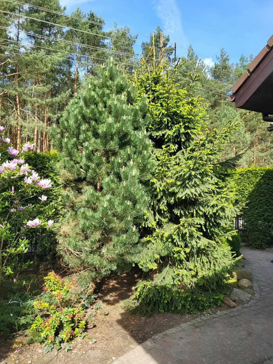 Nowoczesny dom przy lesie i Jeziorze Miedwie