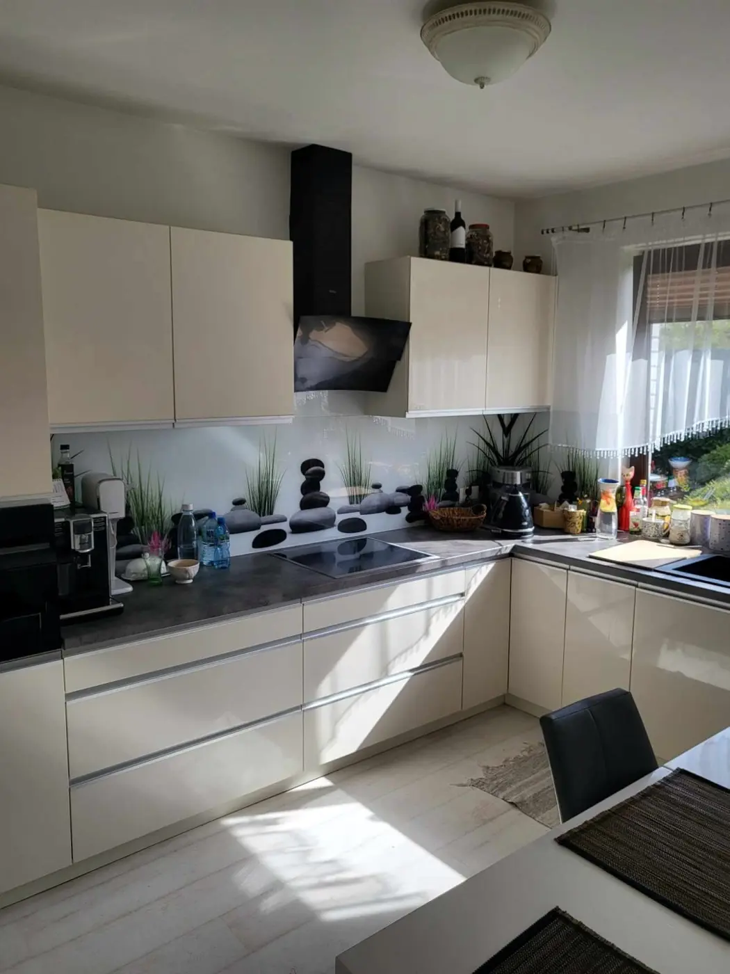 Nowoczesny dom przy lesie i Jeziorze Miedwie