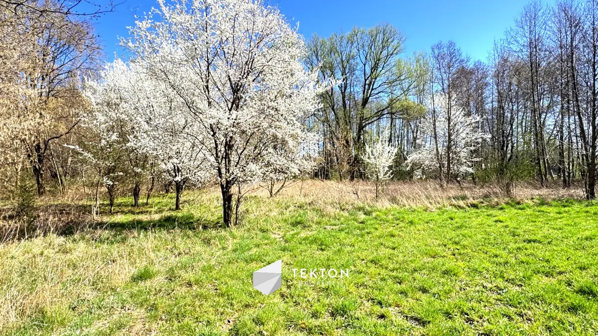 Działka 1 800 m2 | WZ | Woda Prąd Gaz