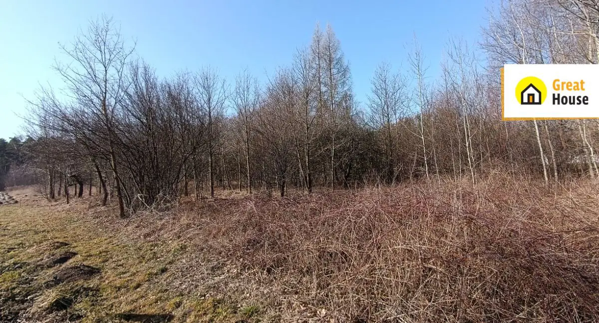 Dom z dużą działką 5774m2