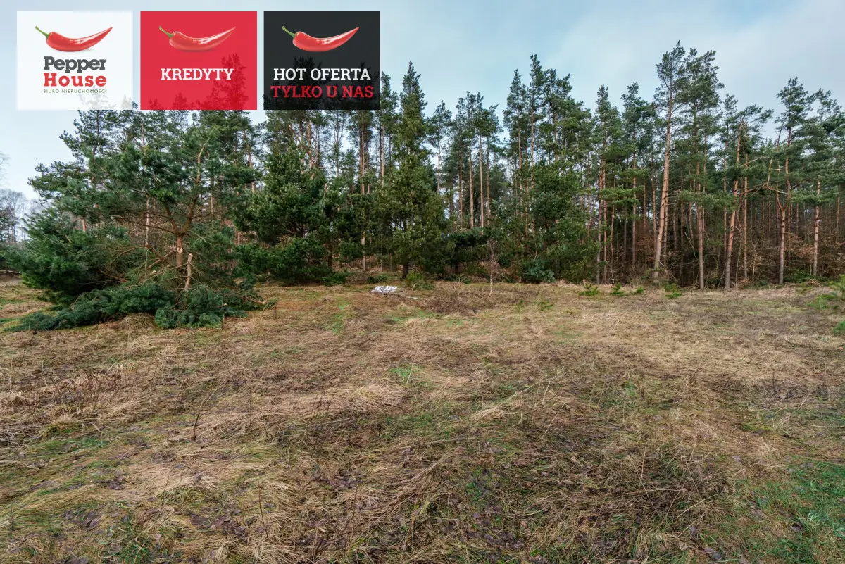 Wyjątkowa działka ze ścianą lasu