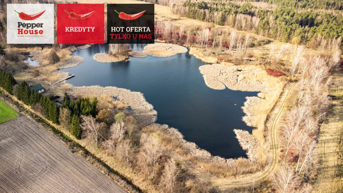 duża działka z własnym stawem i domkiem