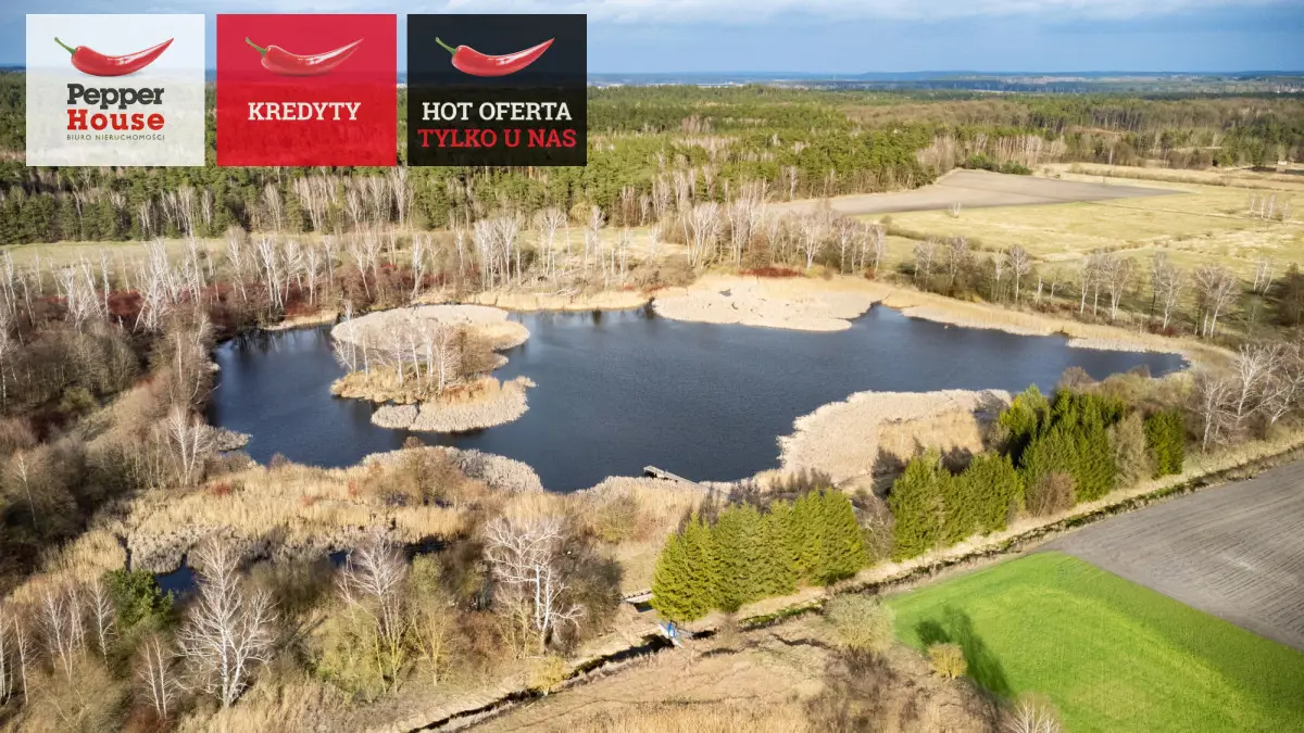 duża działka z własnym stawem i domkiem