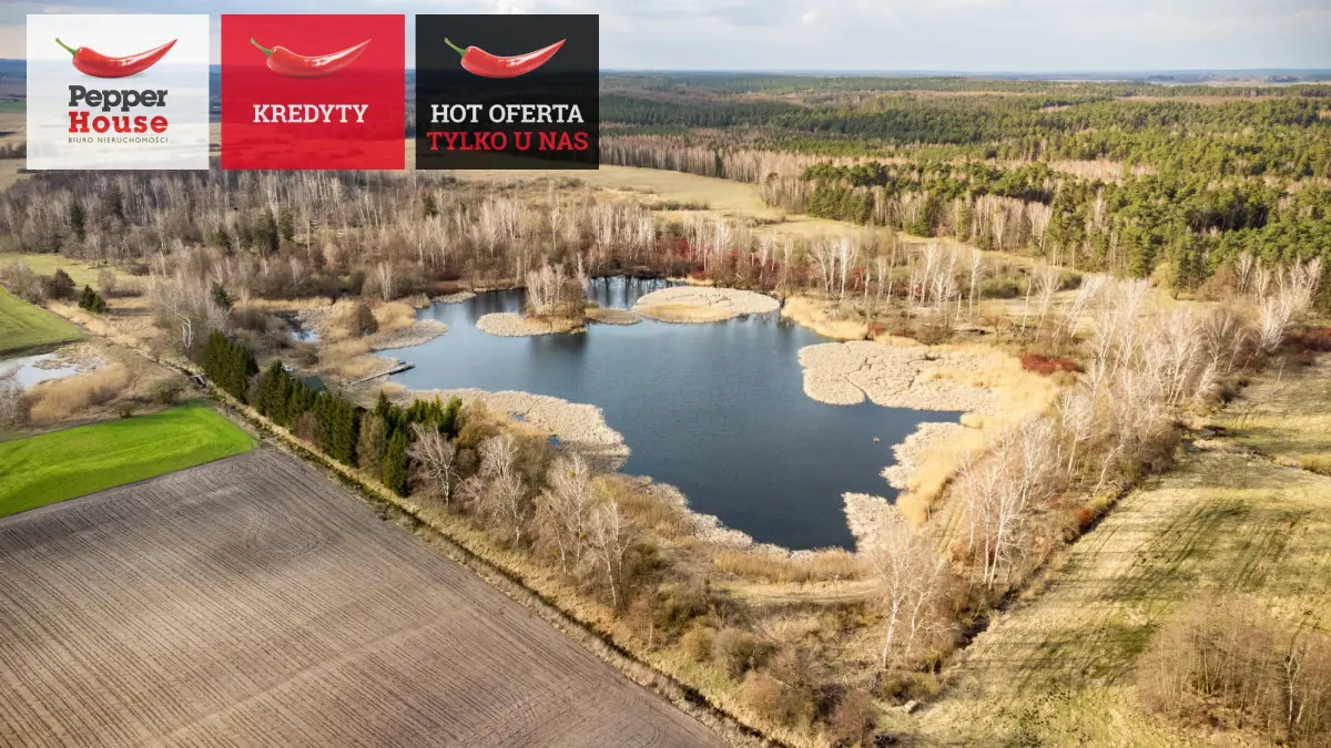 duża działka z własnym stawem i domkiem