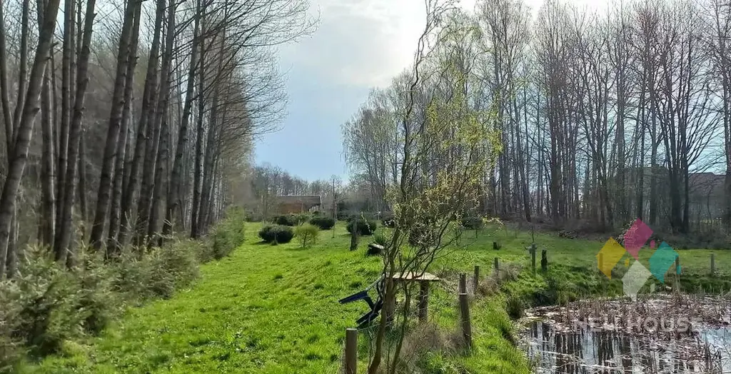 Domek rekreacyjny, staw, blisko Lidzbarka