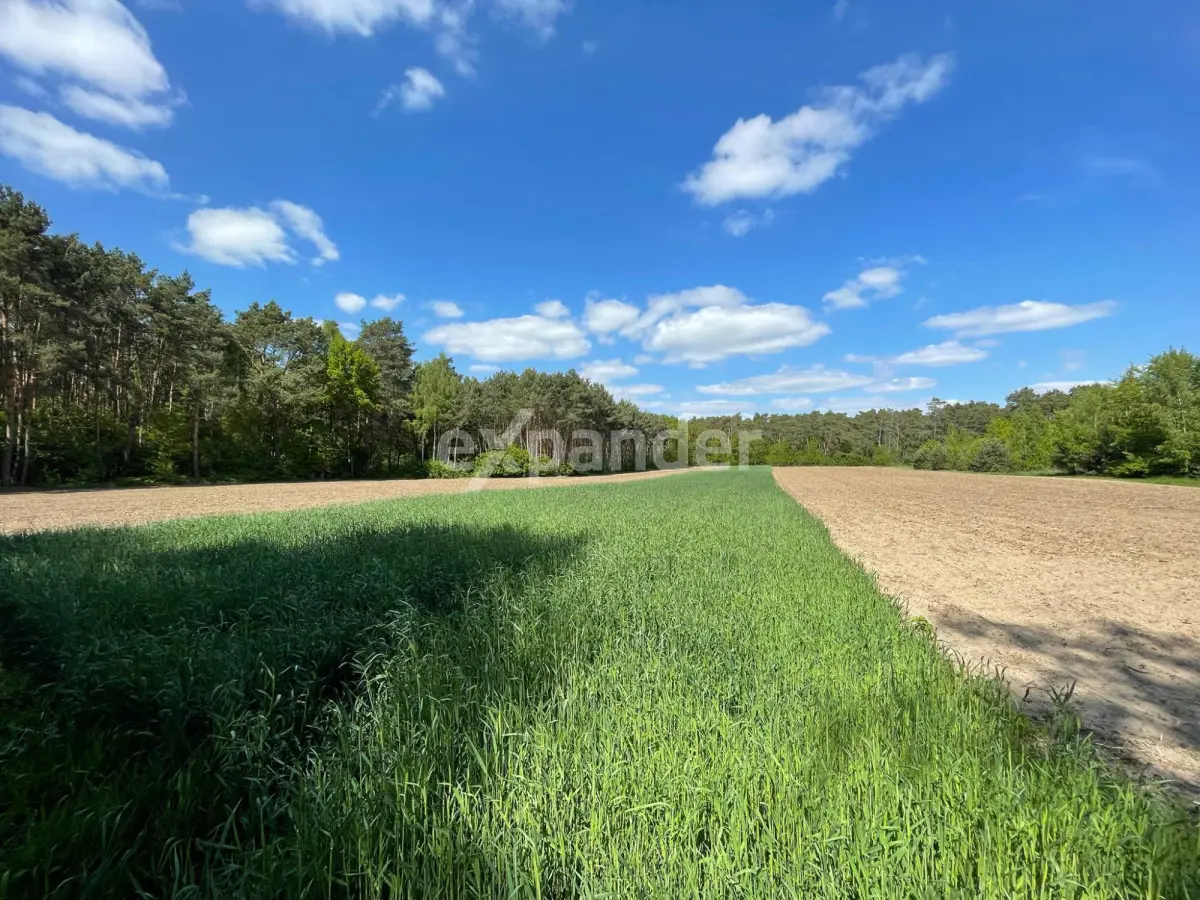 Działka rolna w Szałe k. Kalisza – cisza i natura.